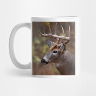 White-tailed Deer Mug